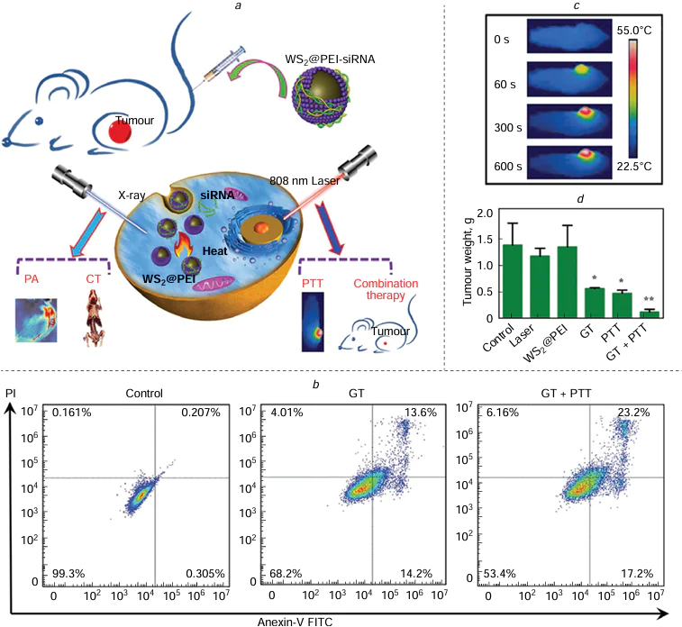 (a) Nanoplatforms composed of polyetherimide and WS2 with versatile functions for the treatment of cancer through a combination of gene-photothermal therapy guided by imaging. (b) Flow cytometry analysis of BEL-7402 cells after various treatments for a 24 h, showing representative images. (c) Thermal images captured via NIR of Balb/c nude mice with BEL-7402 tumours treated intratumourally with WS2@PEI (40 μg) and subjected to 808 nm laser irradiation at different time points. (d) The weight average of tumours harvested from different groups of mice with tumours after diverse treatments. Statistical significance was assessed using one-way ANOVA: *p < 0.05 and **p < 0.01. Reproduced from Zhang et al.221 with permission from Wiley.