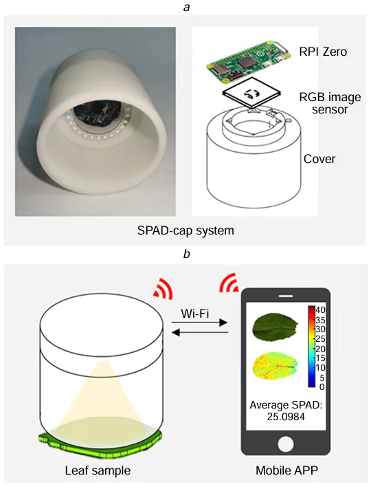 A light-protective cap for a plant nitrogen status detector (Soil Plant Analysis Development indicator) fabricated using 3D printing: (a) the cap and its components, (b) interaction between the sensor and the mobile application.109 © Elsevier B.V., 2021.