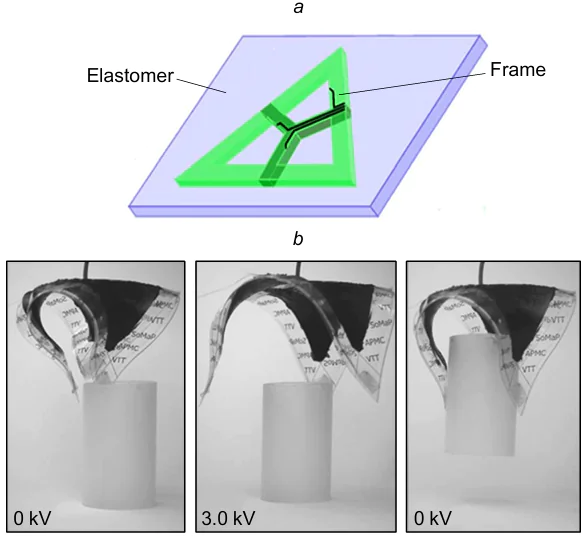 Schematic of the stiffening frame of the minimum energy DEA gripper (a), (b) photographs of the lifting process of the object (cylinder).255 Reproduced with the permission of AIP Publishing