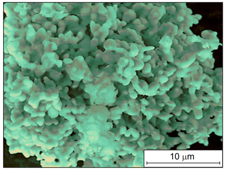 SEM image of Sr2TaN3 polycrystals[203]. Copyright © 2003 Elsevier.