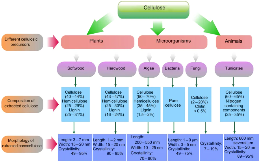 Composition of cellulose derived from different sources and the crystallinity of the isolated NC.26 Published with permission from Elsevier