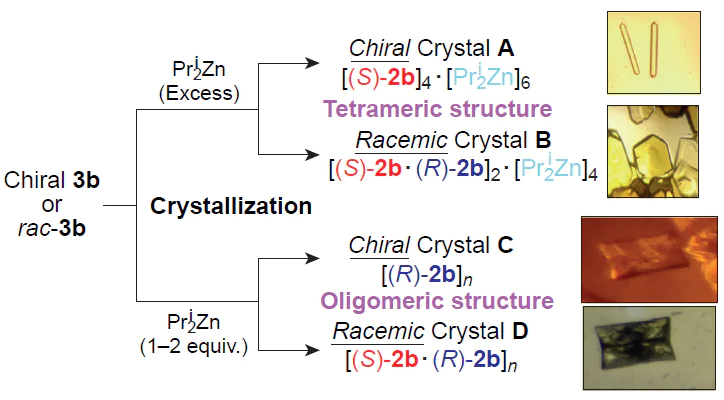 Crystallization of zinc alkoxides.64 Сopyright Wiley 2015.