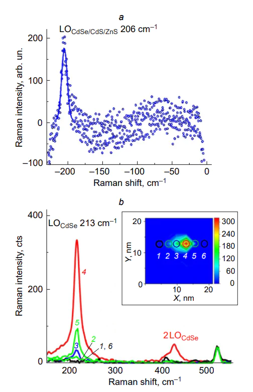 Raman spectra of quantum dots at room temperature: (a) thin-layer ensemble of CdSe/CdS/ZnS quantum dots on the surface of a glass substrate measured in the anti-Stokes mode[675]; (b) single CdSe quantum dot on a silicon substrate measured in the hyper-enhancement mode with the sample being placed in the gap between the tip of a probe microscope and a plasmonic nanoparticle as part of an enhancing nanostructured metasurface (combined SERS-TERS mode; surface- and tip-enhanced Raman scattering). The inset shows a map of the TERS signal intensity distribution in the sample plane; the locations for which the corresponding TERS spectra were measured are marked with numbers from 1 to 6[676].