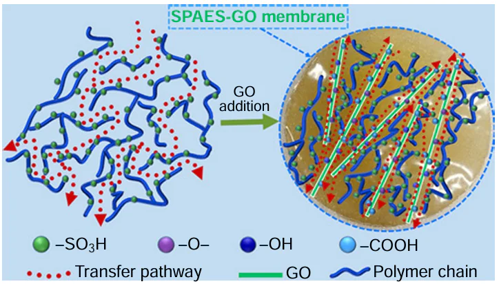 Schematic diagram of the SPAES/GO membrane.36