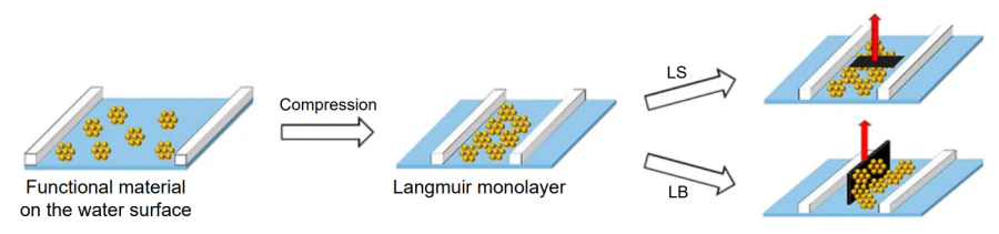 Formation of a dense Langmuir layer upon barrier compression and coalescence of a separate semiconductor or recognition biolayer domains followed by transfer onto a solid substrate by Langmuir–Schaefer (LS) or Langmuir–Blodgett (LB) techniques[62].