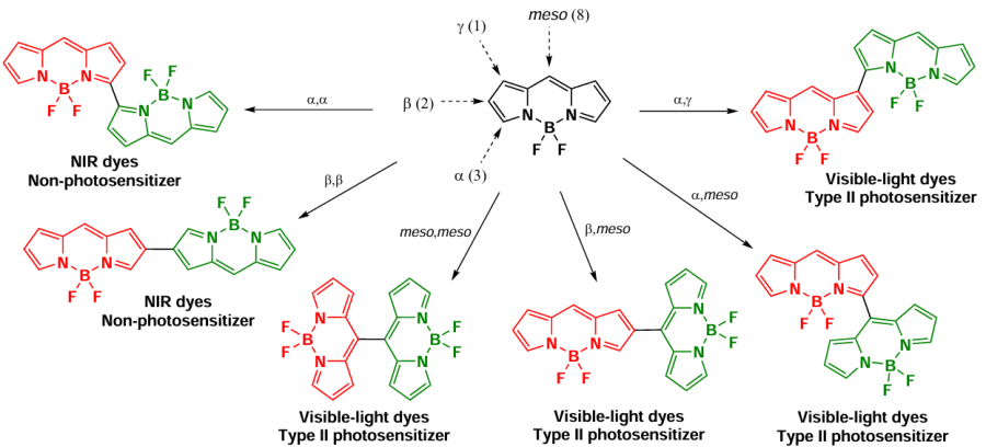 BODIPY dimer types and their photochemical properties