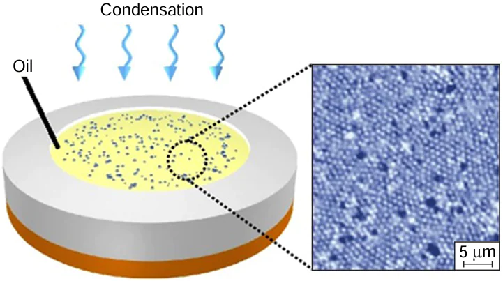 Experimental setup for the fabrication of W/O nanoemulsion by vapour condensation (Tsurface&lt;Tdew point); the inset shows the resulting nanoemulsion.226 Copyright belongs to the Nature Research.
