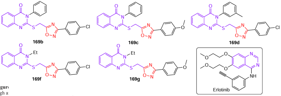 Structures of hybrids 169 based on 1,2,4-oxadiazole and quinazolinone that showed high anticancer activity and erlotinib (drawn in the box).94