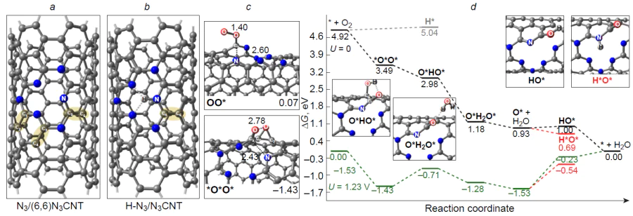 Structures of model N-doped nanotubes: N3/(6,6)N3CNT (a) and H – N3/(6,6)N3CNT (b) in which C2-vinyl groups studied in ORR are shown in pale-olive colour; structures of O2* adsorbates on N3/(6,6)N3CNTs (c); and free energy profile for ORR on the C5=C6 vinyl site (d).39