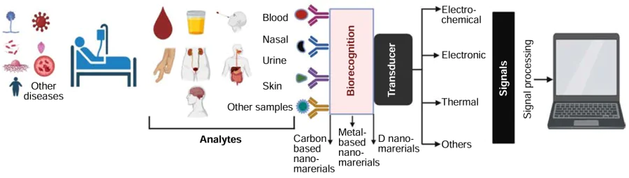 Principle composition of biosensors