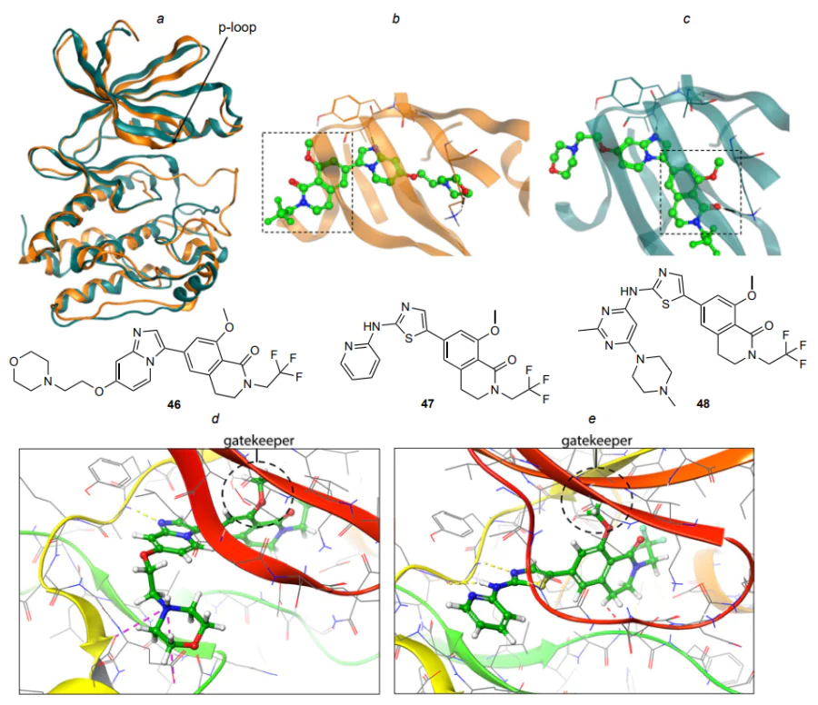 Visualization of the spatial overlay of the homologous model and the AlphaFold model (a), docking results of compound 46 with the homologous model (b) and with the AlphaFold model (c)[139]; docking results of molecules 46 and 47 with the model constructed by the authors of this review (d, e). The methodology used for the construction is similar to that referenced in Ref.[139], which is also similar to that used by Tesh et al[141]. Dashed lines highlight ligand fragments interacting with the gatekeeper region; atom labelling is the same as in Figure 13. The figure was created by the authors of the review based on published data[139].