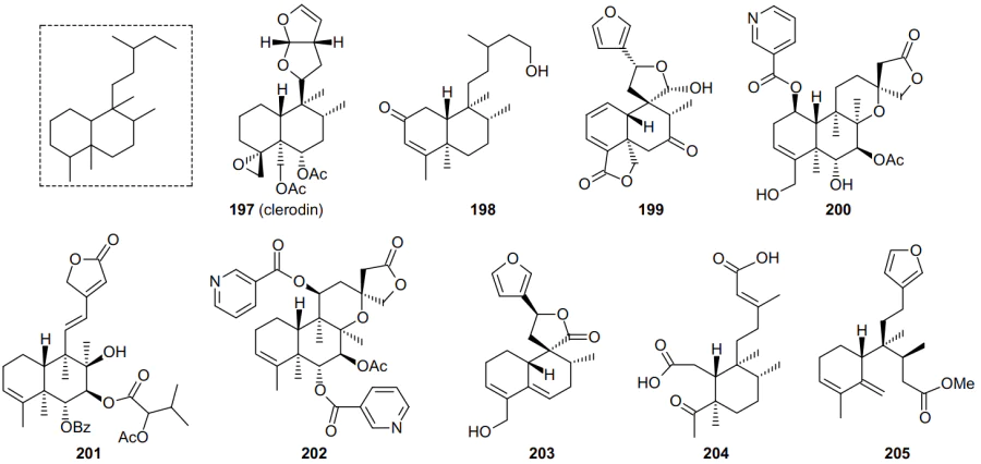 Clerodane type skeleton (in the frame) and structures of clerodane diterpenoids 197-205.