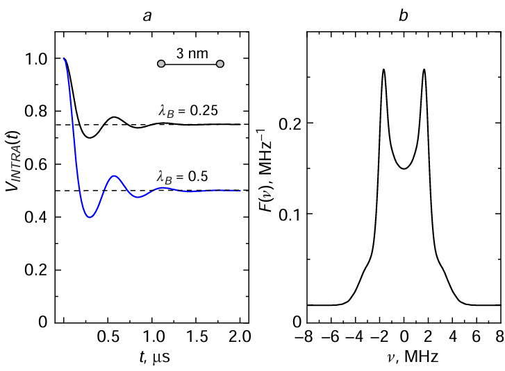 (a) Calculated time dependences of the DEER signal for a 3 nm long biradical with a Gaussian distance distribution of 0.075 nm width for two different excitation efficiencies λВ (0.25 and 0.5). The dashed lines show the asymptotic limiting values at large times (dipolar modulation depth). (b) Fourier transform of these dependences, normalized according to equation (7) (the same for both λВ).
