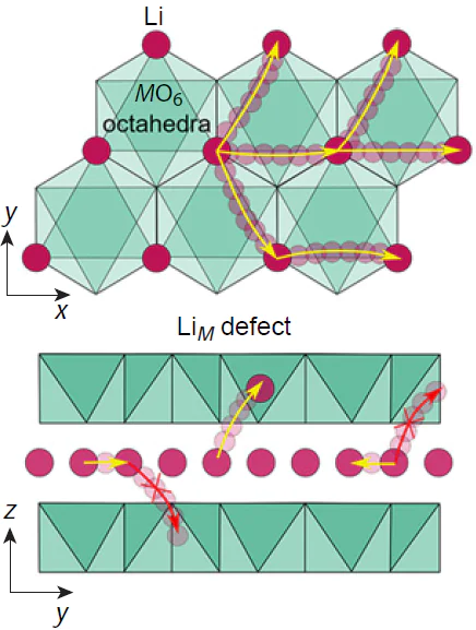 Lithium diffusion in layered oxides