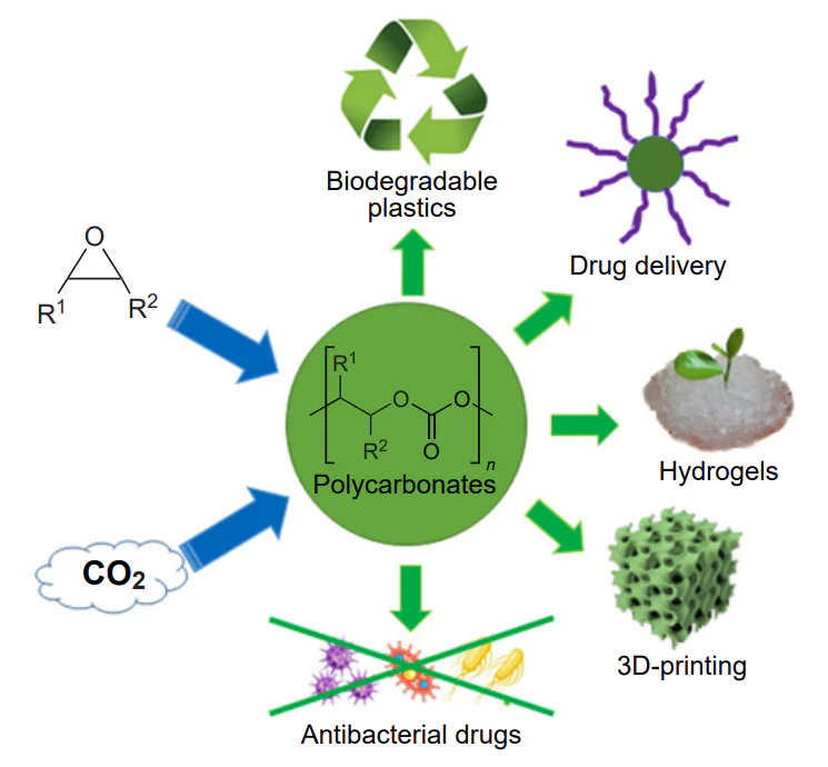 Potential applications of polycarbonates.