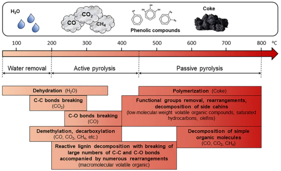 Main processes taking place during pyrolysis of lignocellulosic precursors. The major products of thermolysis are given in parentheses. 