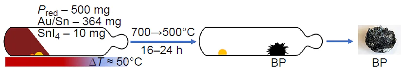 Scheme of the gas transport synthesis of black phosphorus