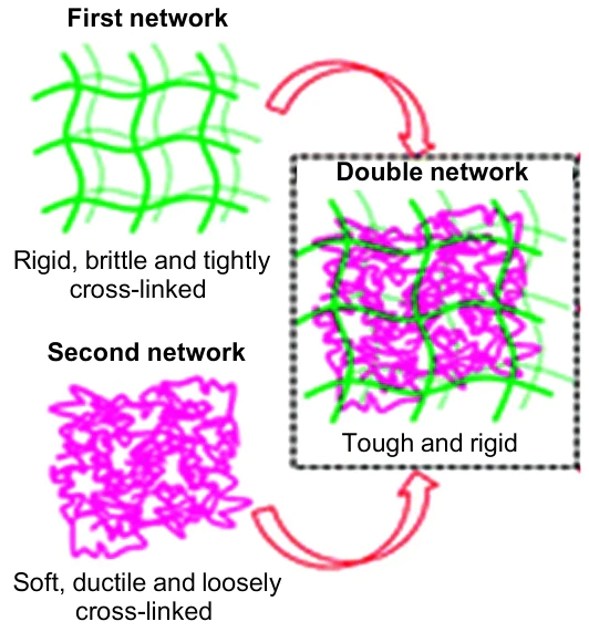 Schematic image of a double polymer network.333 Published with permission from the Royal Society of Chemistry.