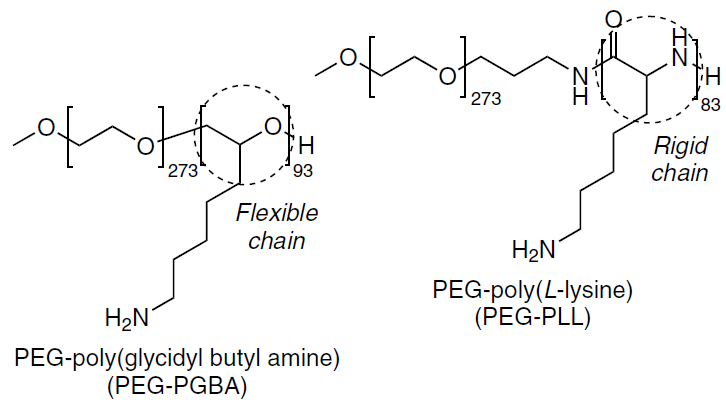 Cationic block copolymers with varying flexibility of the charged segments based on poly(glycidylbutylamine) (flexible) and poly(L-lysine) (rigid).256 PEG-PGBA provides for more than a 50-fold increase in the mRNA binding strength compared to that of PEG-PLL, which results in the formation of mRNA polyplexes with enhanced protection against enzyme attack.