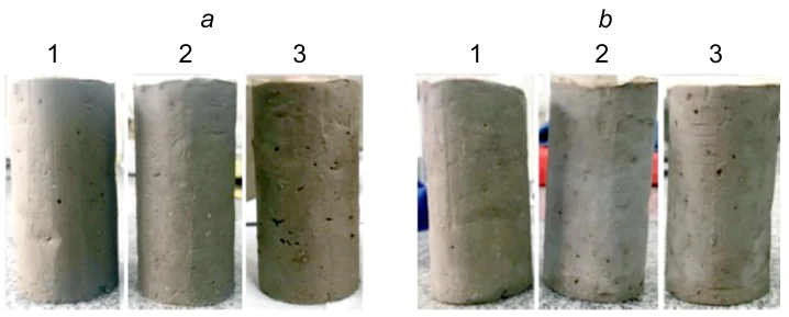 Photo of stabilized soil before the drying-wetting cycle (a) and after the 5th drying-wetting cycle (b). 1 - 30% SR, 4% CCR, 10%GGBS, 76.39% water content; 2 - 30% SR, 6% CCR, 15% GGBS, 72.85% water content; 3 - 30% SR, 8% CCR, 20% GGBS, 69.62% water content. Reproduced from Ref. 297 with permission from Elsevier.