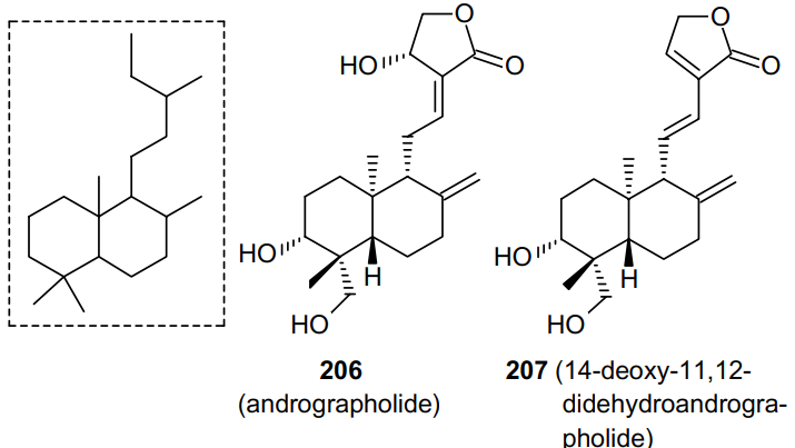 Labdane-type skeleton (in the frame), structures of andrographolide (206) and 14-deoxy-11,12-didehydroandrographolide (207).