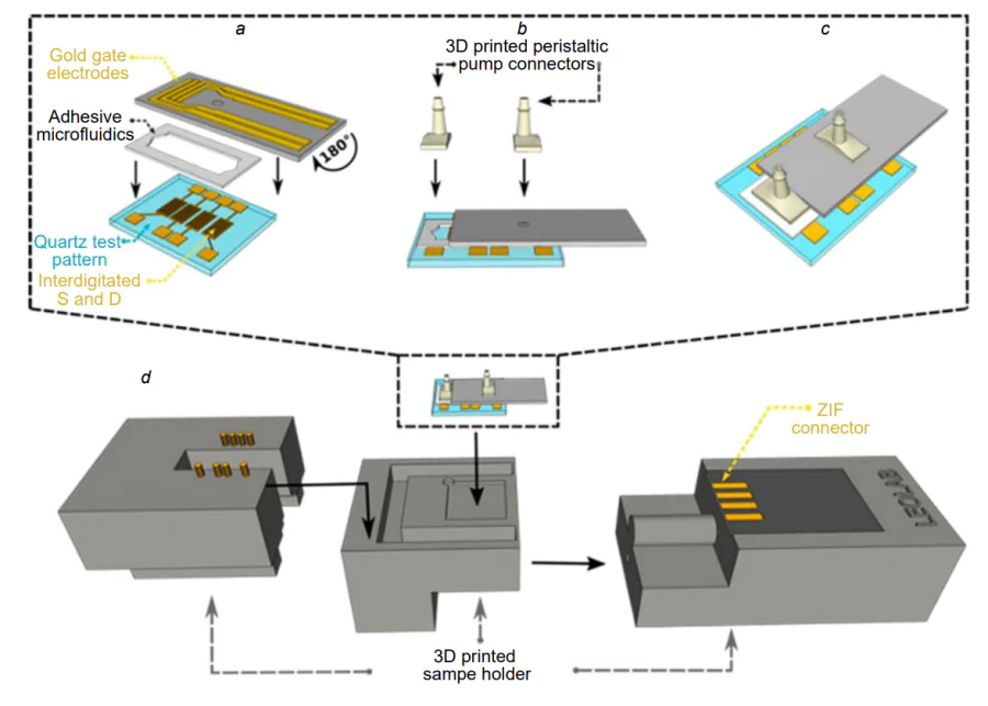 Schematic picture of a multigate sensor[49]. (а) Quartz test pattern featuring gold drain and source interdigitated electrodes, an adhesive microfluidic chamber and four top gold gate electrodes; (b) connectors to peristaltic pump tubes; (c) schematic picture of 3D assembly; (d) communication to the multiplexer and to the source measuring unit is ensured by the zero insertion force (ZIF) connector.