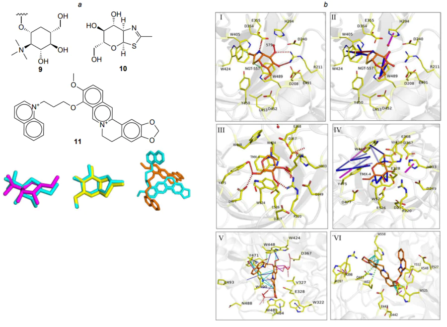 Results of reproducing the three-dimensional geometry of active conformations of molecules 9–11 (for molecule 11, the reference pose was taken from crystal 5Y1B — O. furnacalis) (a) and predicted binding mechanisms for these molecules (b). In Figure a, ligands from crystals are highlighted in blue, while conformations obtained during modelling are highlighted in purple, yellow, and orange. In Figure b, windows I, II, V show hydrogen bonds; windows III, IV, VI show hydrophobic contacts; hydrogen bonds are highlighted in red, hydrophobic contacts are green, aromatic contacts are blue, carbon π-interactions are indicated in purple, and donor π-interactions are in blue[121]. The figure is published under the CC BY 4.0 license.