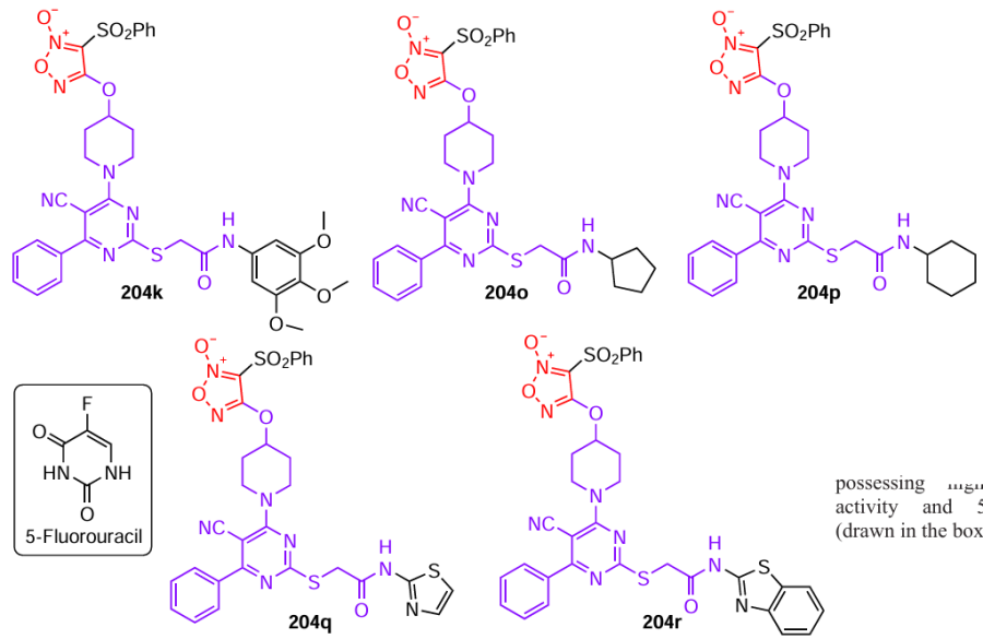 Structures of hybrids 204 comprising piperidine, pyrimidine, and phenylsulfonylfuroxan moieties and possessing high anticancer activity and 5-fluorouracil (drawn in the box).120