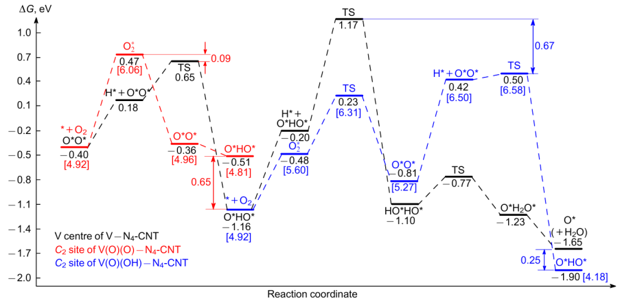 Free energy profiles of ORR on V (black) and the C2 site of V(O)(O)-N4-C (red) and V(O)(OH)-N4-C (dark blue) at U=0 in an acidic medium. Values ΔG in square brackets refer to ORR intermediates on the corresponding carbon sites. TS is transition state