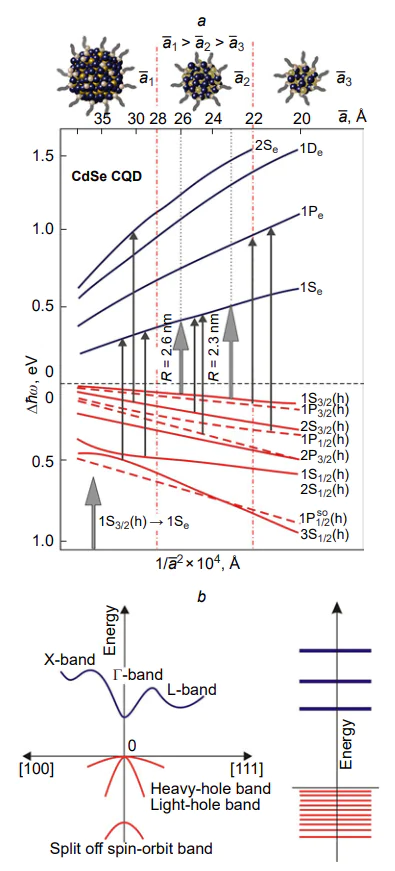 Energy level diagram for nanocrystals based on direct band gap semiconductors: (a) energy spectrum of electrons and holes depending on the squared average radius (\( \bar{a} \)) of CdSe CQDs[111]; (b) diagram of allowed energy transitions. The vertical dashed lines are non-radiative transitions[127].