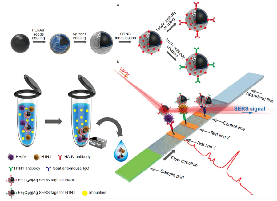 (a) A scheme of synthesis of SERS-active magnetic particles loaded with Raman dye and functionalized with antibodies; (b) a scheme of the magnetic SERS strip for detecting two respiratory viruses, IAV and ADV. Reprinted with a permission from Ref. 253 ©2019 American Chemical Society.
