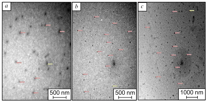 TEM images for 0.5% (a), 0.75% (b) and 1% (c) of CNFs/epoxy nanocomposite.198 The figure is published with per mission by Elsevier