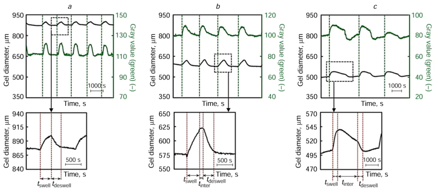 Chemomechanical oscillations of the gels: (a) NA2_Ru70, (b) NA5_Ru70, and (c) NA10_Ru70. The green curve shows changes in the colour of the gel and the black line shows changes in the gel bead diameter. Regions of the waveform of the bead diameter profiles: tswell, the gel starts to swell and reaches a peak; tinter, the gel retains the volume before deswelling; tdeswell, the gel rapidly deswells.83 Published under the Creative Commons CC BY license.