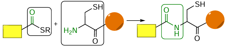 General schematic picture of the chemoselective native ligation (R = Alk)