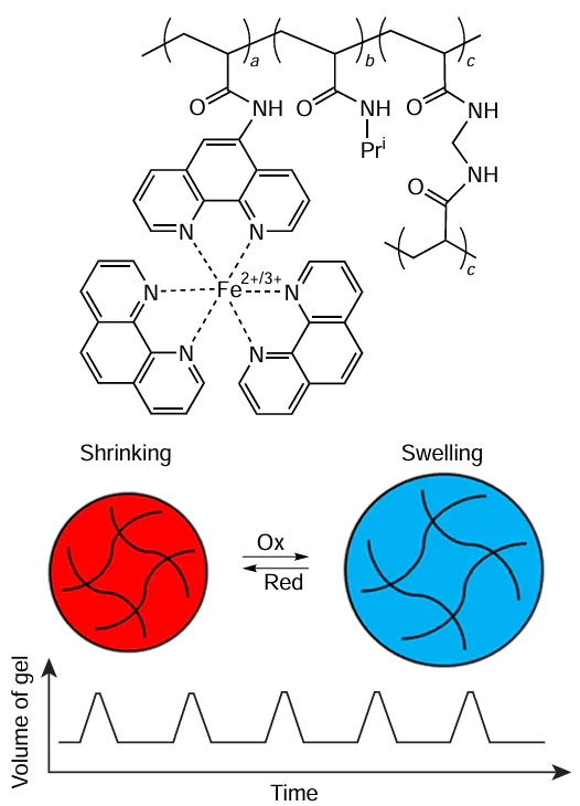 Chemical structure and oscillations of gel 7
