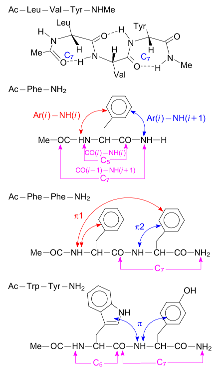 Selected examples of amide NH...O=C and NH...π hydrogen bonds in some peptide models. The figure was created by the authors using data of Refs 121, 123, 126