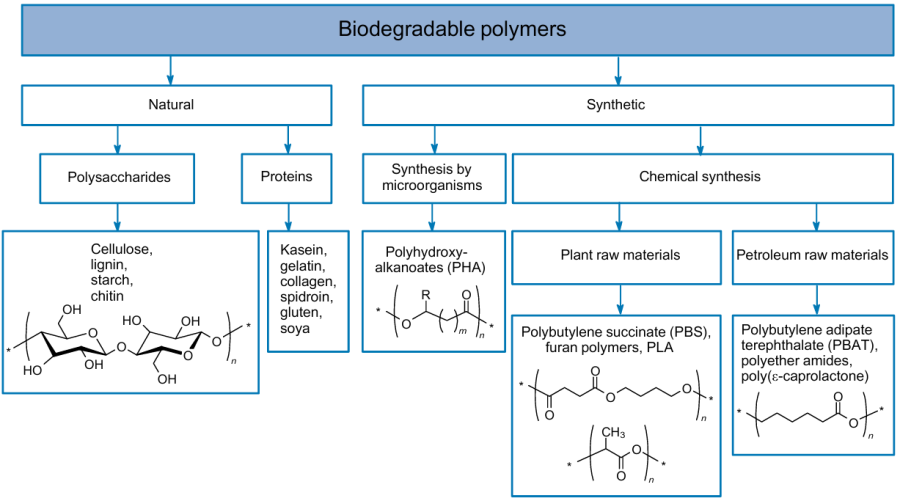 Classification of biodegradable polymers (summarized from works465 and F.Baghi, A.Gharsallaoui, E.Dumas, S.Ghnimi. Advance ments in Biodegradable Active Films for Food Packaging: Effects of Nano/Microcapsule Incorporation. Foods, 11, 760 (2022).