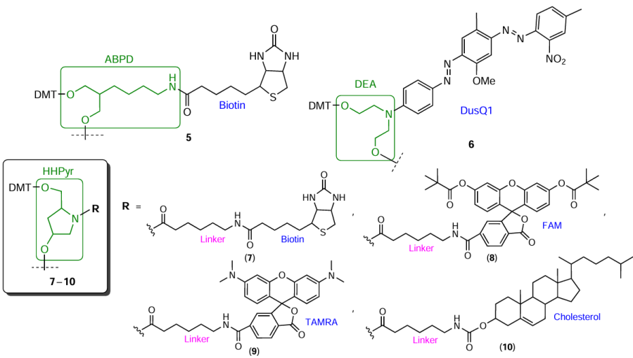 Structures of commercial aminodiol modifiers 5 – 10