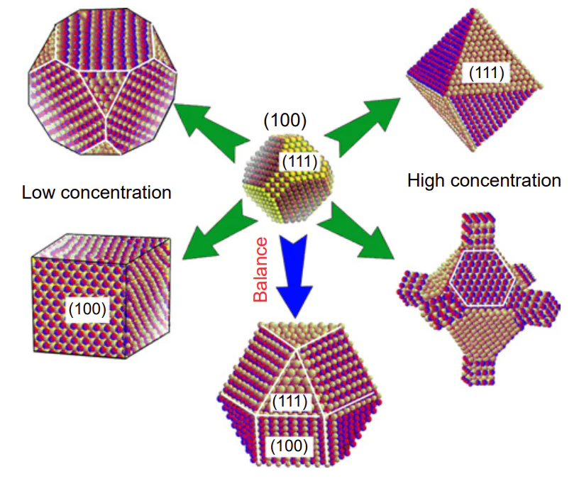 Diagram of the influence of oleic acid concentration on the growth of PbSe CQD nuclei[163].