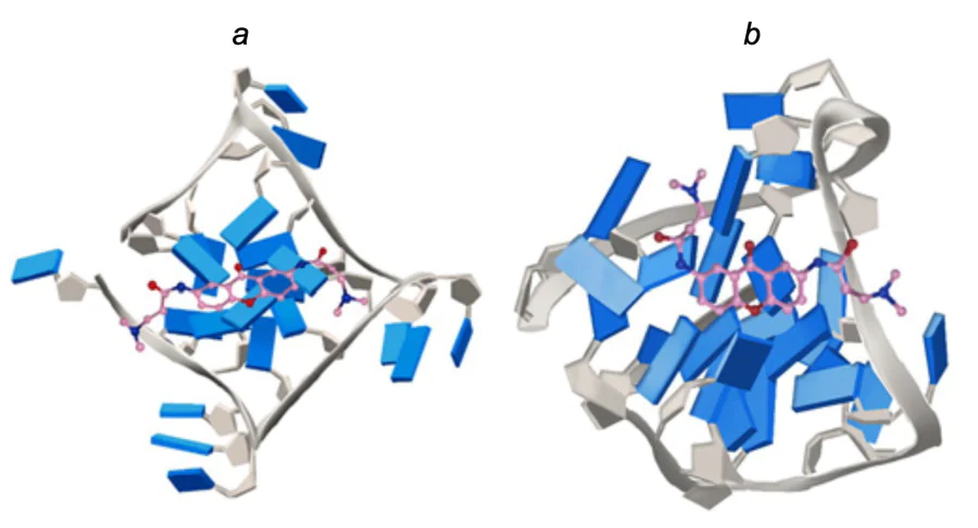 Results of molecular docking of compounds 57 – 61 into 1KF1 (a) and 2HY9 (b) quadruplexes[70].