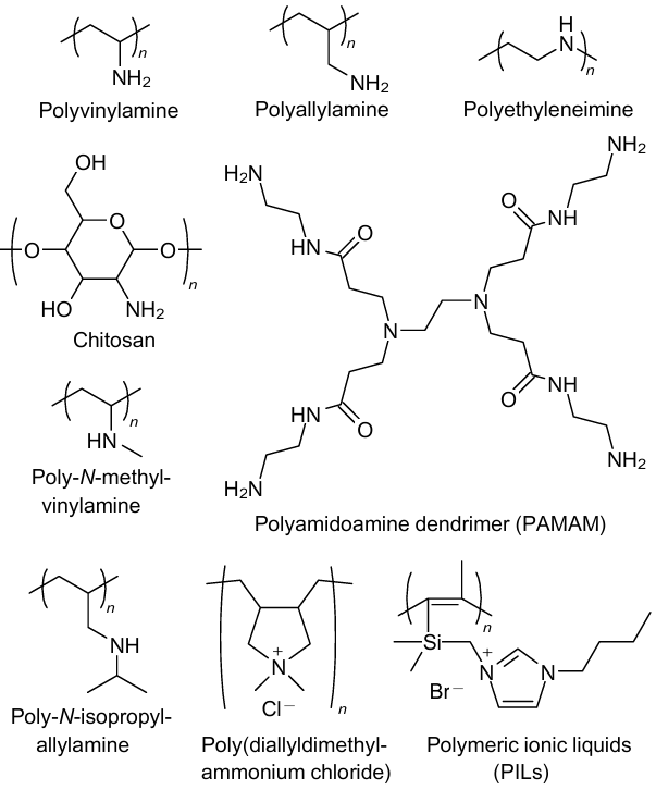 Polyamines and polymeric ionic liquids