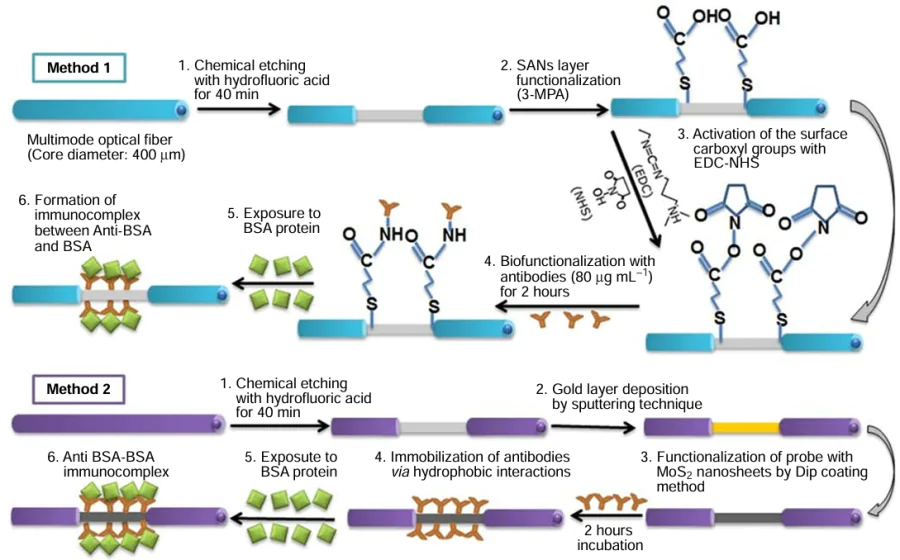 Schematic description of the fabrication process for an optical fibre-based SPR biosensor. Method 1 shows the biosensor without MoS2, while Method 2 shows the biosensor with a MoS2-modified optical fibre SPR configuration. Reproduced with permission from the Ref. 145.