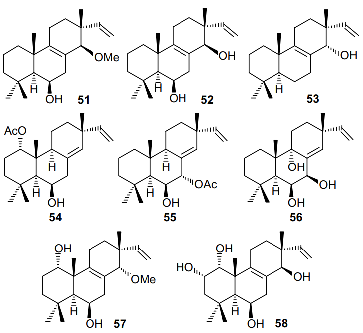 Structures of isopimarane diterpenoids 51-58 isolated from Kaempferia pulchra.49