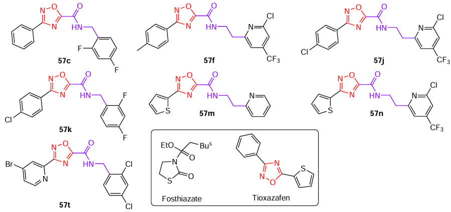 Structures of 1,2,4-oxadiazole amides 57 with nematicidal action and active substances of commercial products (drawn in the box).40