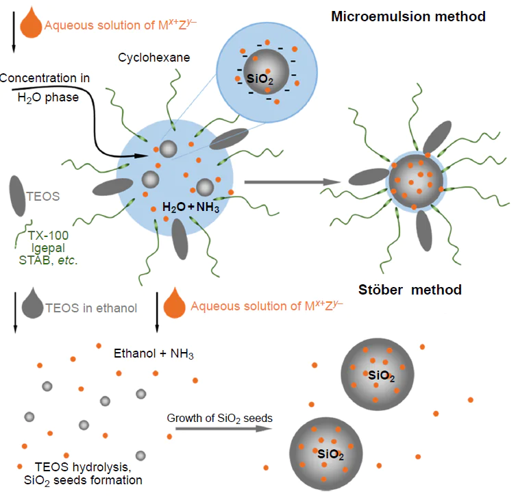 A schematic illustration of different concentrations of metal compounds in silica nanoparticles using the water-in-oil microemulsion and Stöber methods