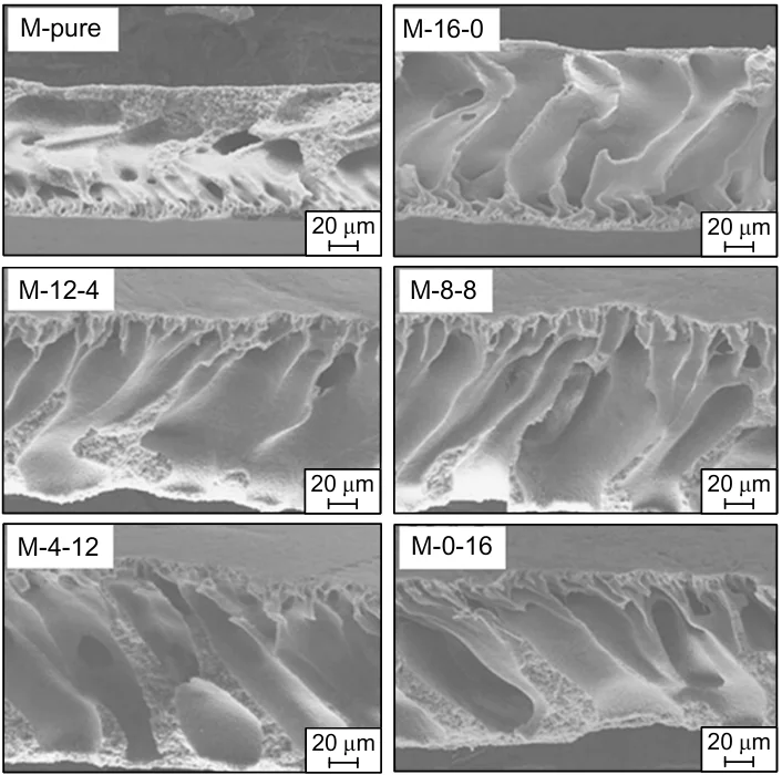 Examples of pores in PVDF membranes used to manufacture vascular prostheses.341 In the upper parts of the figures, designations of samples differing in composition are given. Published with permission from Elsevier.