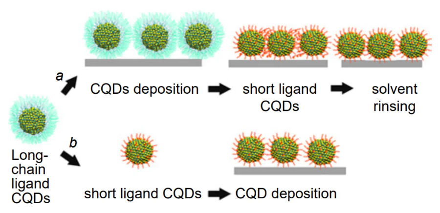 Ligand exchange strategies on the CQD surface: (a) solid-state exchange; (b) liquid-phase exchange[335].