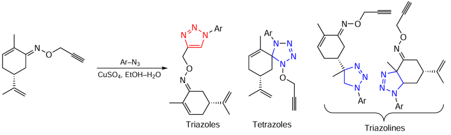 Synthesis of heterocyclic systems by the CuAAC reaction of terminal alkynes with aromatic azides. Reproduced from Oubella et al.261 under the CC BY license.
