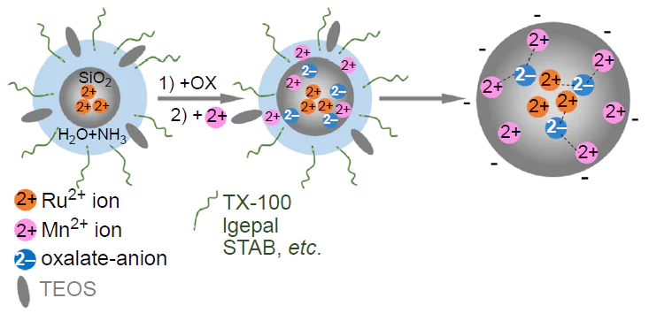 Schematic representation of the origin of the synergistic effect of [Ru(bpy)3]2+ as a co-doping agent in oxalate-induced Mn2+ incorporation into SNPs. Ox is oxalate-anion.