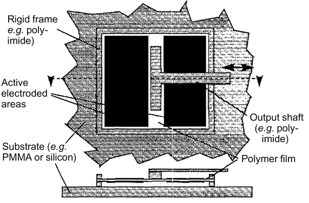 Structure of a two-part linear DEA fabricated in the study.107 Reproduced with the permission of Elsevier